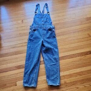 Free People We The Free Ziggy Denim Overalls Size Small
